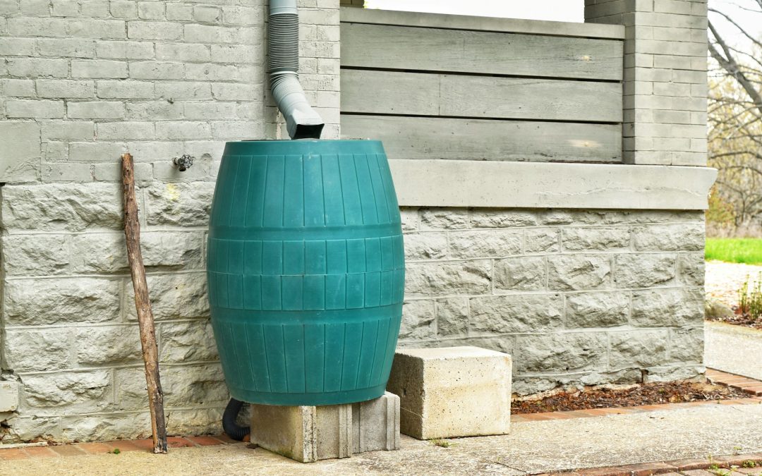 Eco-Friendly Hydration: Smart Watering Solutions for Lush Gardens and Lawns